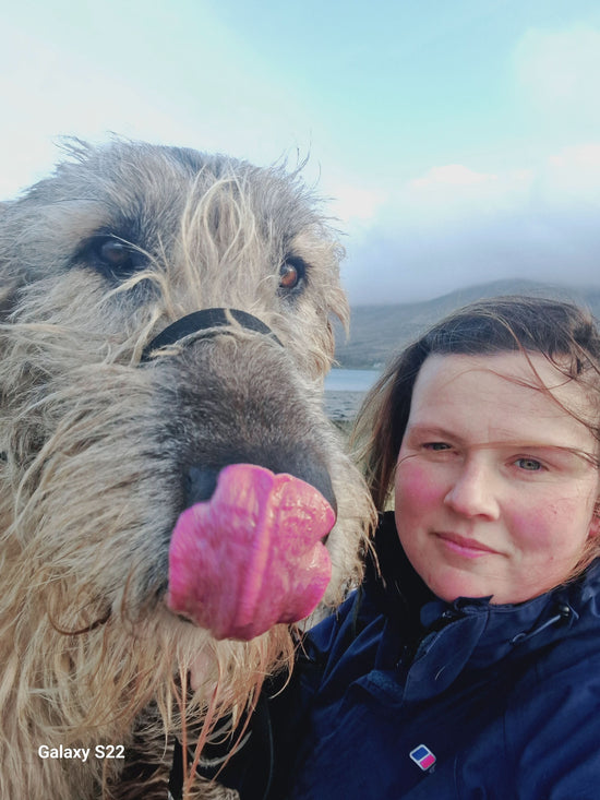 Individual Walk with Irish Wolfhounds 90 minutes. - Irish-Wolfhound-Store