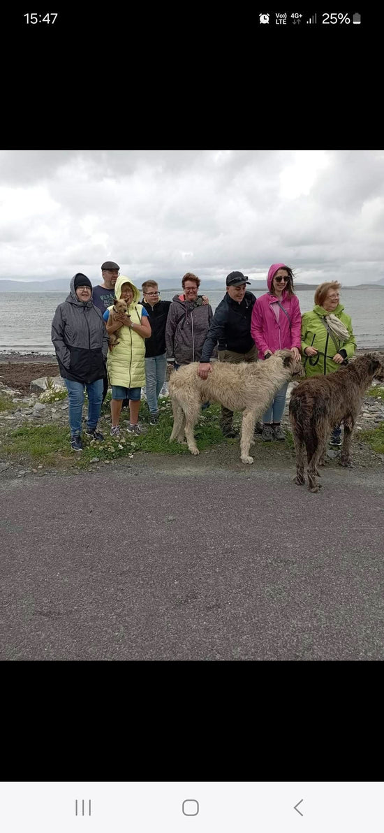 Emerald Private Walk with Irish Wolfhounds 90 minutes - Irish-Wolfhound-Store