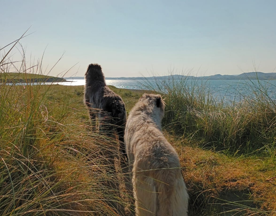 Emerald Private Group/Family Walk